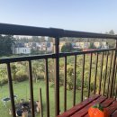 가시머뭄 이미지