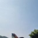 돌뿐이공원 이미지