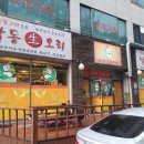 낙동생오리 이미지