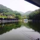 약수양어장