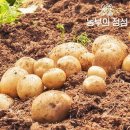 정성농산 이미지