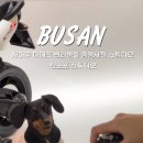 사하사진관