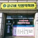 풍수명가 | 강릉작명원 운세,사주,개명 등 클로버작명원 후기