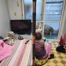 새마을의료기 | 어르신 낙상 예방 | 안전손잡이 설치 후기 (CV-100 / ASH-105)