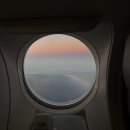 엘에이(LA)샌드위치 | [LA🇺🇸] 조슈아트리 투어/스투시/인앤아웃/시카모어키친