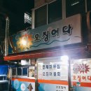 와오징어다