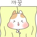 미사시골족발보쌈 이미지