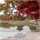 10월27일(화)오전10시.황홀한단풍.와룡공원~삼청공원~~점심식사~경복궁산책+티타임 이미지