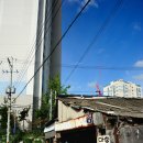 영신목재