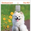 더펫(The Pet) 이미지