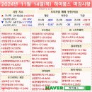 에스앤에이치트레이드 주식회사 | 241114 마감