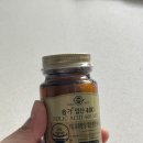 임신준비 영양제 솔가 엽산 후기