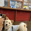 우리반점 이미지