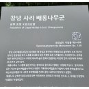 문암정 이미지