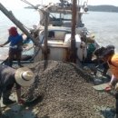 추진목장 이미지