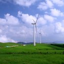 양대목장 이미지