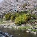 삼호동행정복지센터 화장실 이미지