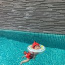 비고리조트 9 이미지