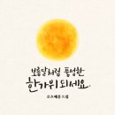 로즈애플수원