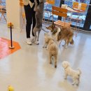 에르멍스 이미지