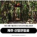 제주 여행 가볼 만한 곳 요정 숲속 같은 산양큰엉곶 후기 위치,주차,매표,포토존