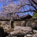 서구-01-129 이미지