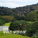 호암중앙2로 | 용인 호암미술관 보고 싶던 루이스 부르주아 거미 전시 입장료 예약 등 후기 (-1/4)