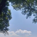 에너지…생동하는 생 이미지