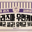 팀웨일 이미지