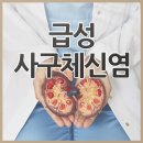 스페스큐브 이미지