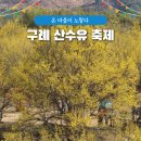 산동면 평선마을 | 2026 구례 산수유축제 일정 총정리 개막공연 라인업 봄꽃 명소