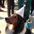 현대자동차성덕점 | 현대자동차 기프트카 쉐어링 당첨후기- 청춘운수가 함께한 "청춘버스 페스티벌"