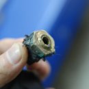 달구지자동차정비 이미지