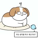 수현동물병원 | 몰아서 쓰는 목금토일 일기