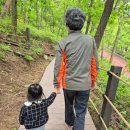 세븐일레븐 원주문막동화점 | 원주 문막 아이랑 가볼만한곳 동화마을수목원