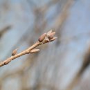 거북이동산 이미지