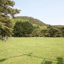 정이품송공원 화장실 이미지