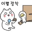 해물사냥꾼