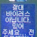 야돼지다
