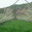 꿈꾸는농장 이미지