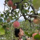 다온농장2 이미지