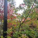 별장매점 - 동작구 노들로 674 | 별장매점