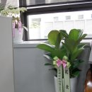 한솔건업 이미지