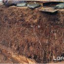 (주)대지개발 이미지