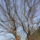 산속호수마을 이미지