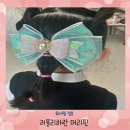 머리할래 - 양주시 평화로1466번길 30 | [헤어핀] 티니핑 좋아하는 아이라면 너무 좋아할 러블리하란 머리핀 후기