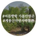 계룡산자연사박물관 이미지