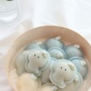 코아스블룸