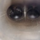 모탑 ENG 이미지