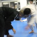 파라에스트라 이미지